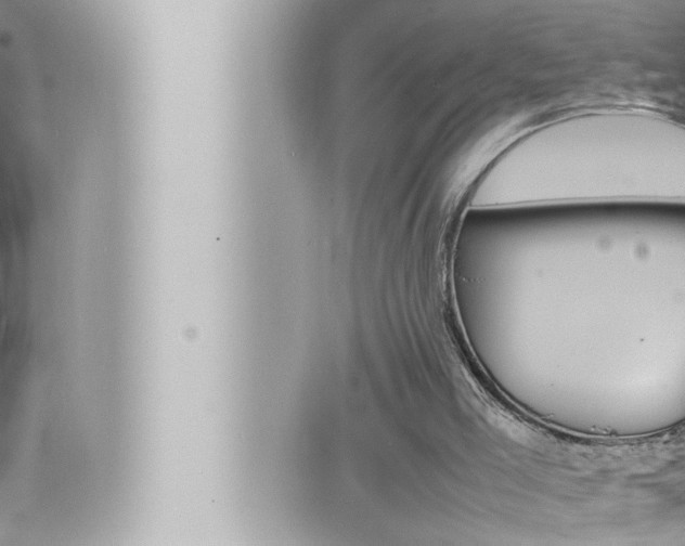 X0000066520005200603171002