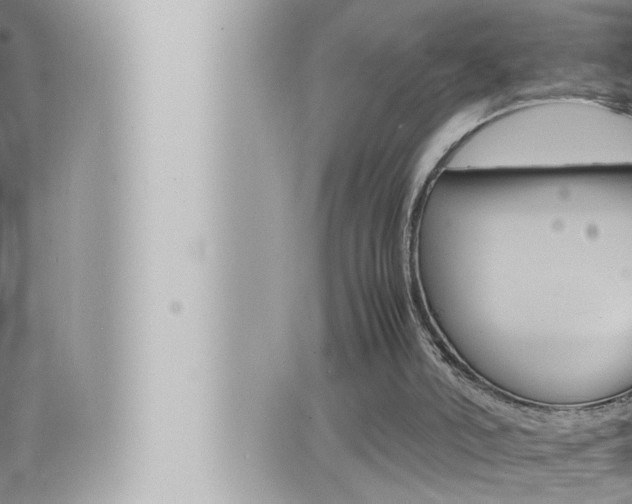 X0000066520006200603171002