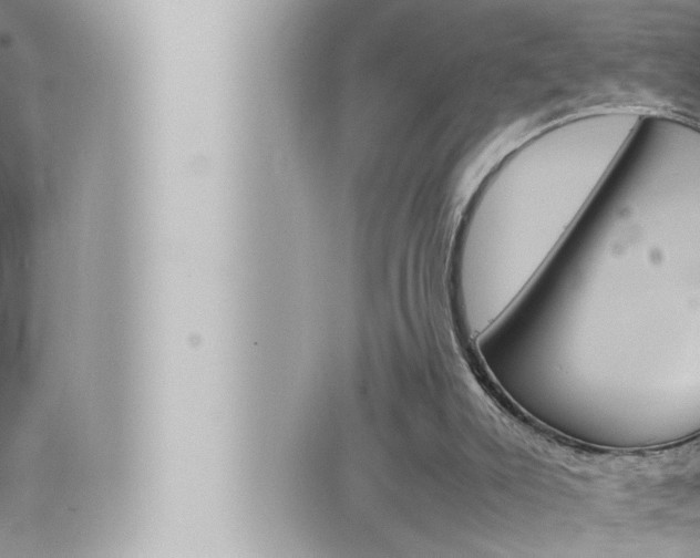 X0000066520007200603171002