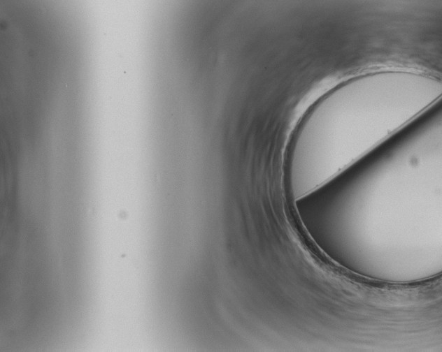 X0000066520008200603171002