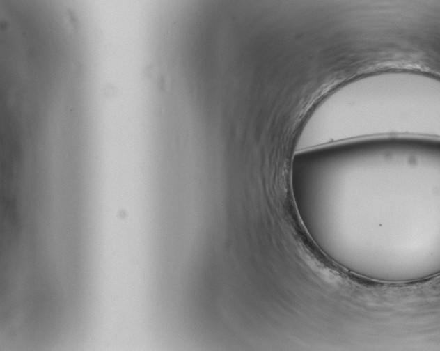 X0000066520009200603171002