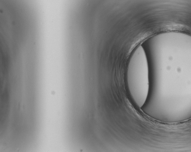 X0000066520010200603171002