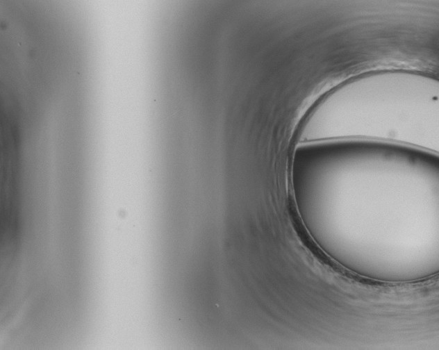 X0000066520011200603171001