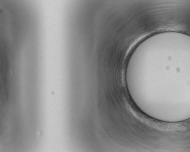 X0000066520012200603171001