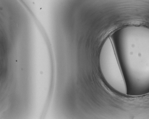 X0000066520013200603171001