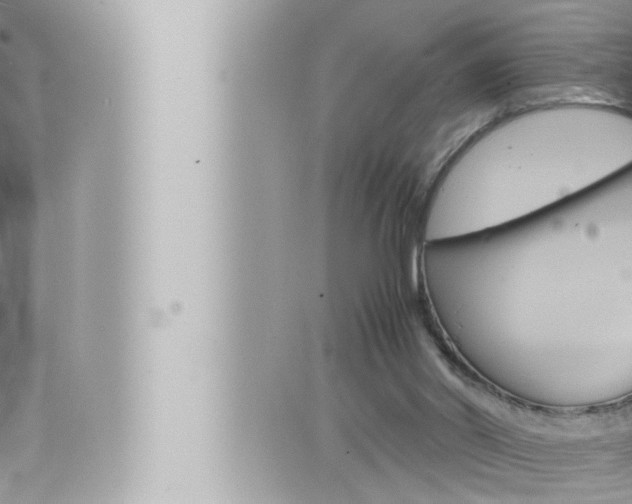 X0000066520014200603171001