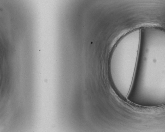 X0000066520015200603171001