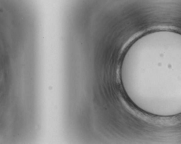 X0000066520016200603171001