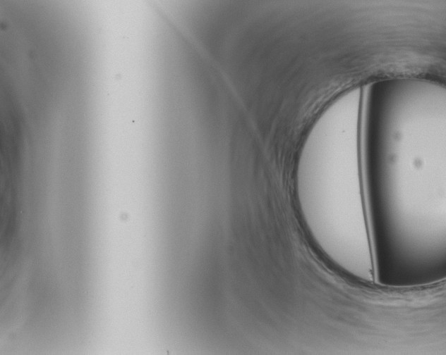 X0000066520017200603171001