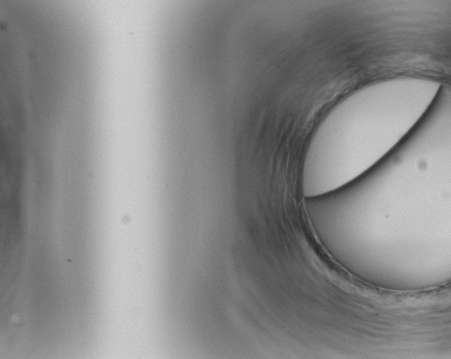 X0000066520018200603171001