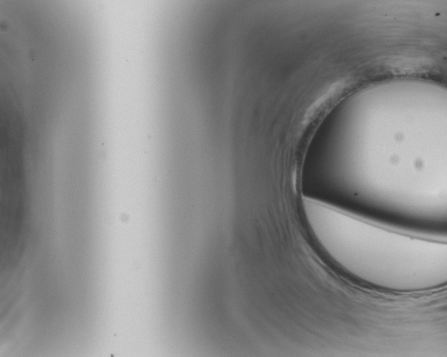 X0000066520019200603171001