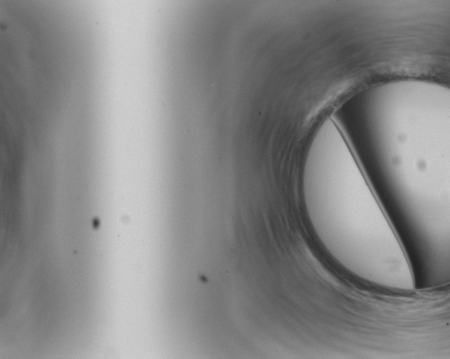 X0000066520020200603171001