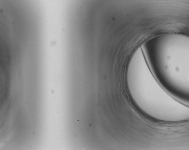 X0000066520021200603171001