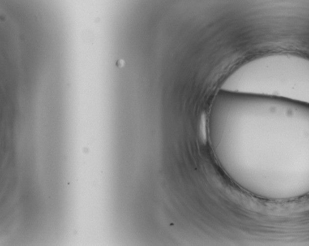 X0000066520022200603171001