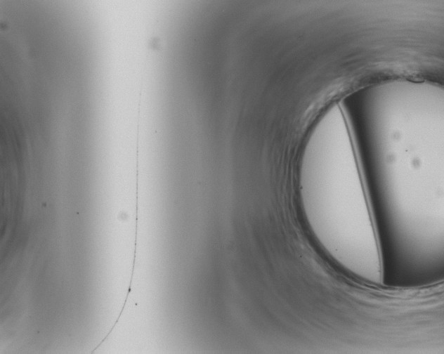 X0000066520023200603171001