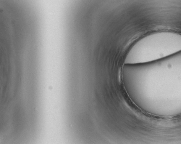 X0000066520024200603171001