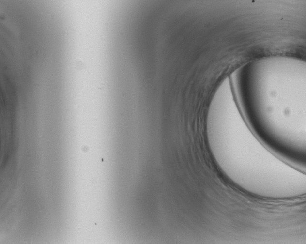 X0000066520025200603171001