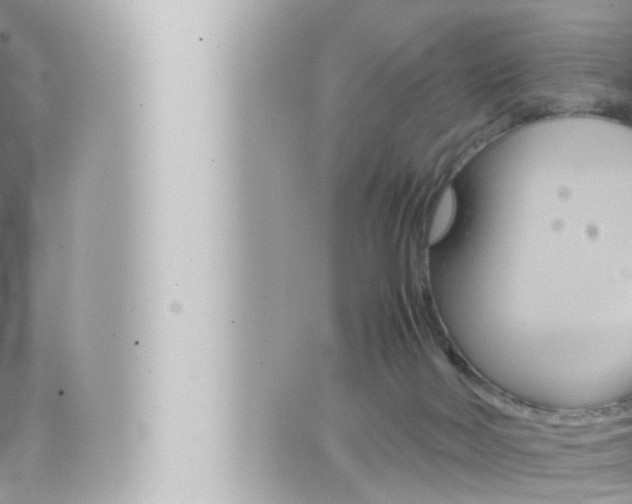 X0000066520026200603171001