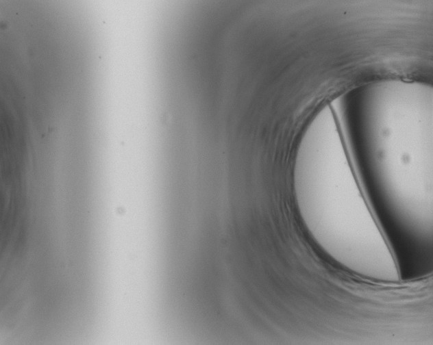 X0000066520027200603171001