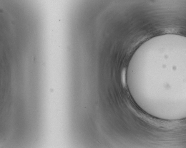 X0000066520028200603171001