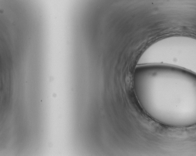 X0000066520029200603171001