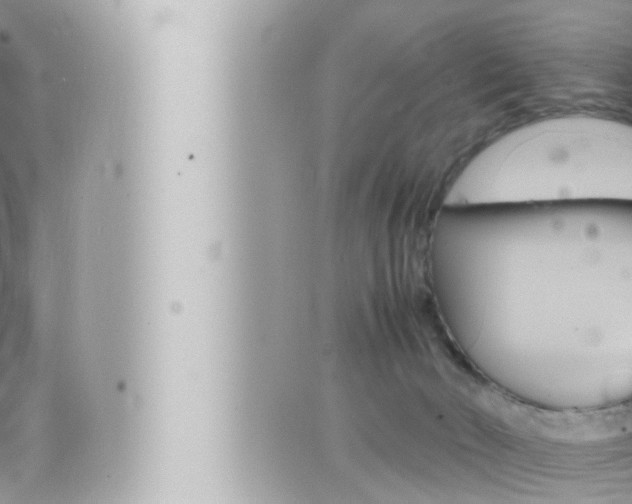 X0000066520030200603171001