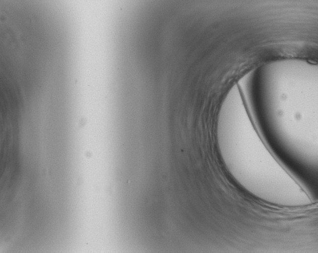 X0000066520031200603171001