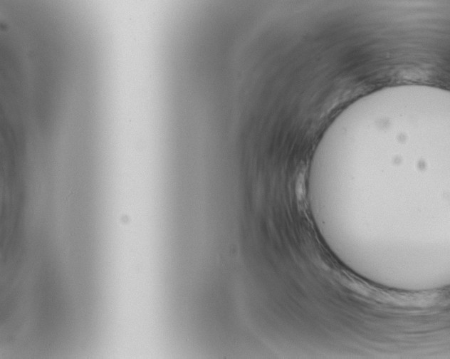 X0000066520032200603171001