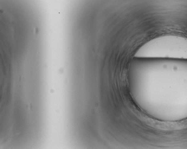 X0000066520034200603171001