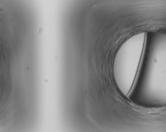 X0000066520035200603171001