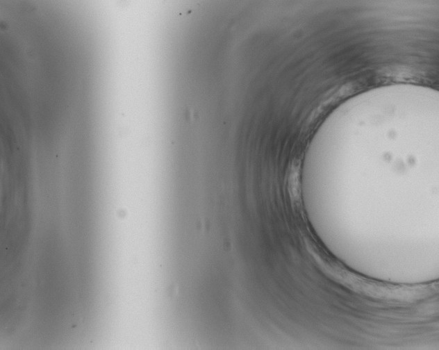 X0000066520036200603171001