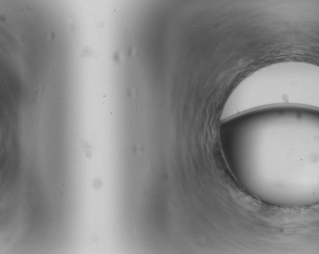 X0000066520037200603171001