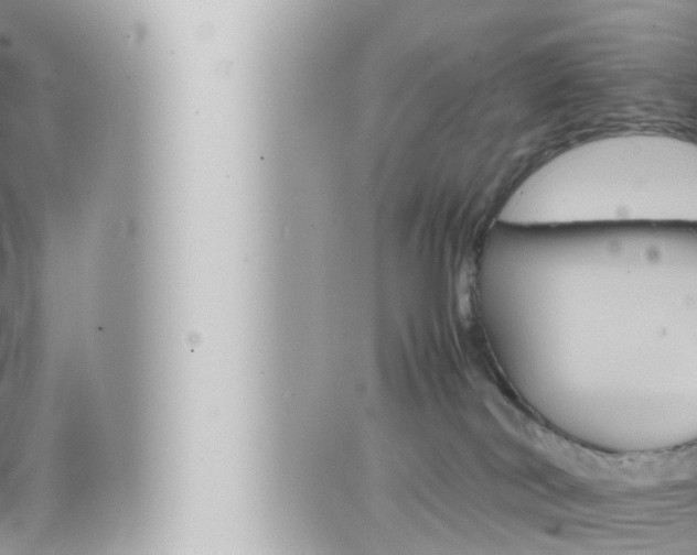 X0000066520038200603171001