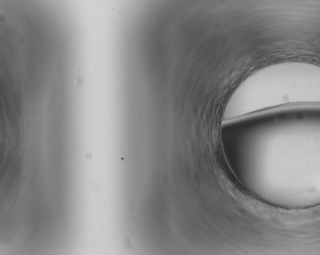 X0000066520039200603171001