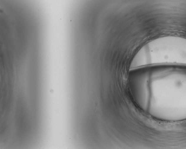 X0000066520040200603171001