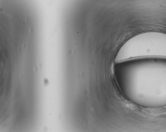 X0000066520041200603171001