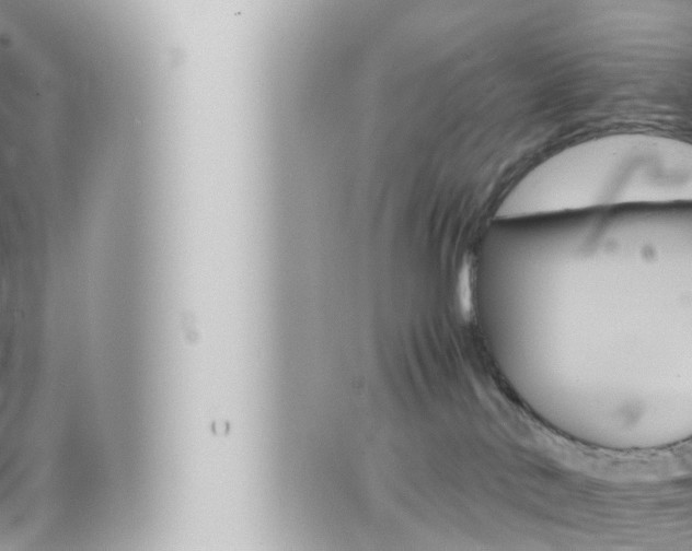 X0000066520042200603171001