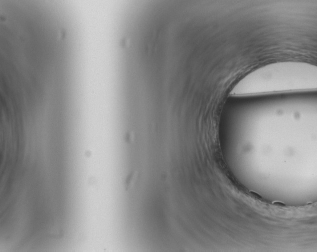 X0000066520043200603171001