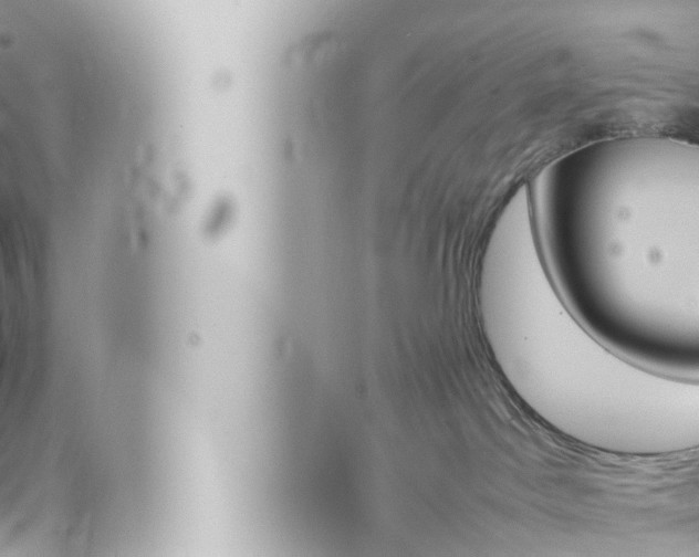 X0000066520045200603171001