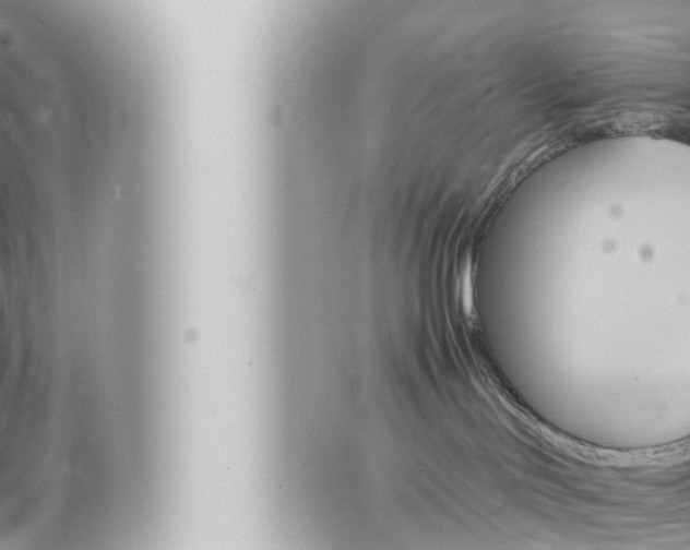 X0000066520046200603171001