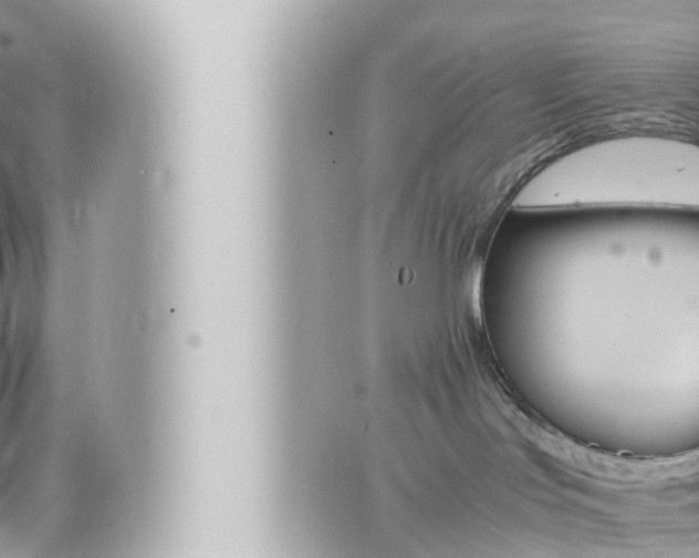 X0000066520047200603171001