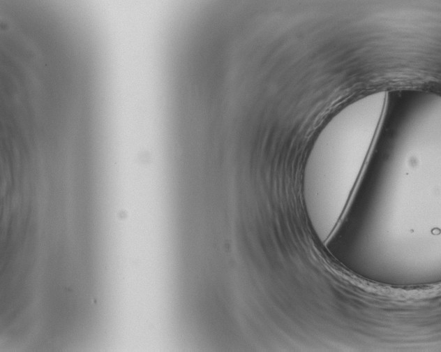 X0000066520048200603171001