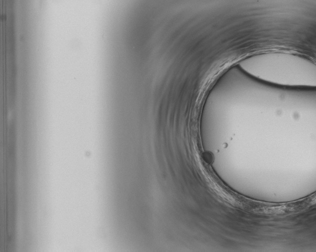 X0000066520049200603171000