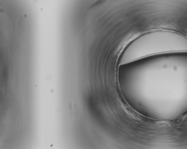 X0000066520050200603171000