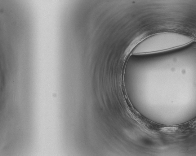 X0000066520051200603171000