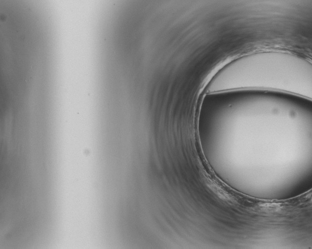 X0000066520052200603171000