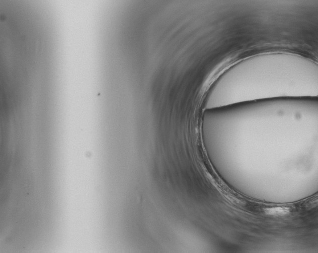 X0000066520053200603171000