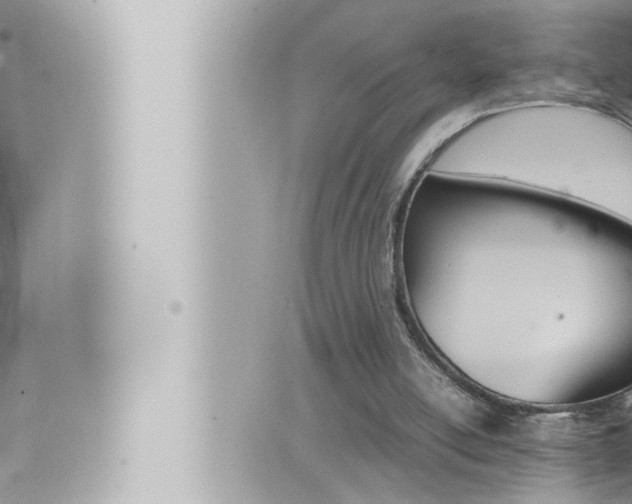 X0000066520054200603171000