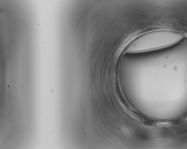 X0000066520055200603171000