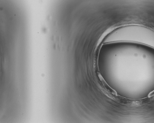 X0000066520056200603171000